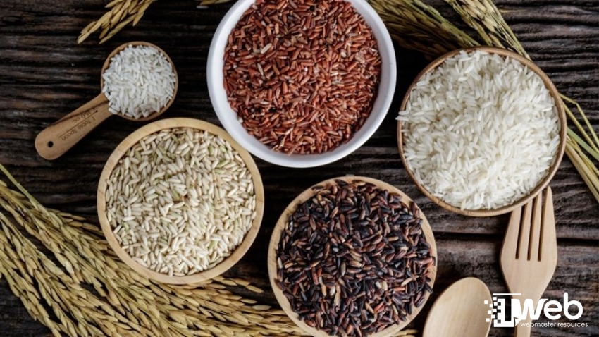 Ăn gạo lứt thường xuyên có thật sự tốt cho cơ thể?