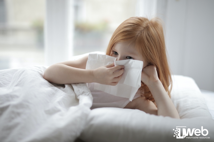 Liệu pháp giúp giảm nghẹt mũi tại nhà những ngày lạnh cuối năm