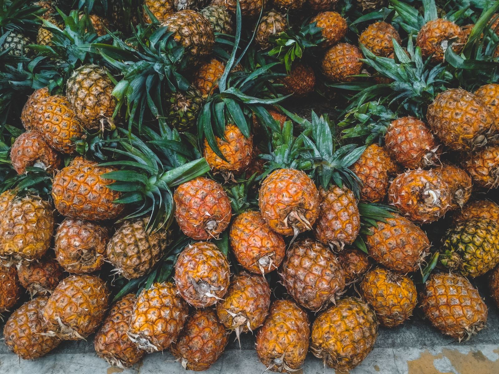 Trái cây cung cấp vitamin