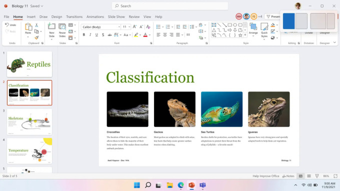 Windows 11