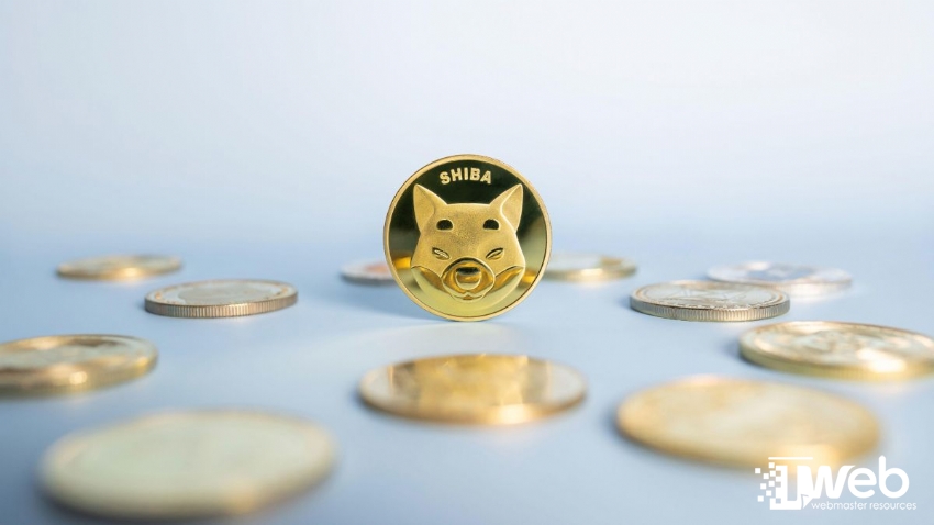 Shiba Inu Coin là gì? Giải mã sức hút từ đồng coin này